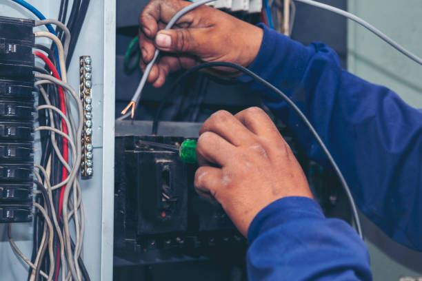 Best Electric Panel Repair  in Nora Springs, IA