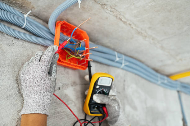 Best Home Electrical Repair  in Nora Springs, IA